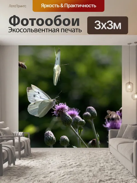 Фотообои Бабочки