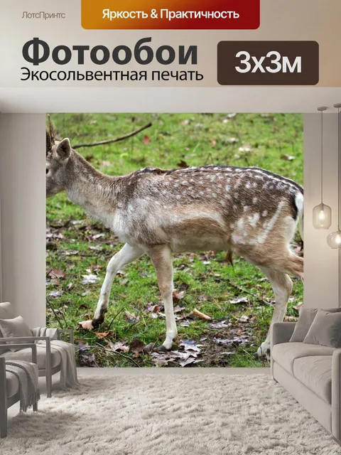 Фотообои Олень