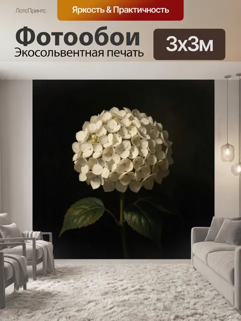 Фотообои Белая гортензия на темном фоне