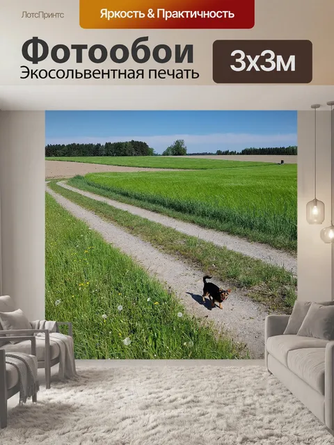Фотообои Поле
