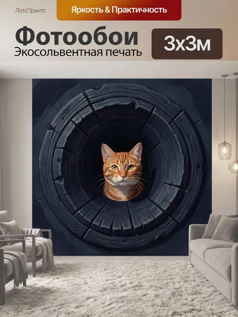 300 × 300 см · Экосольвентная печать