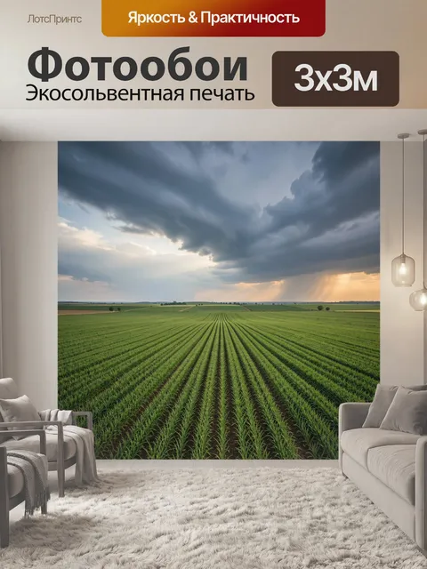 Фотообои Полевые ряды на фоне грозовых туч