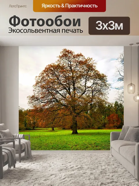 Фотообои Осень