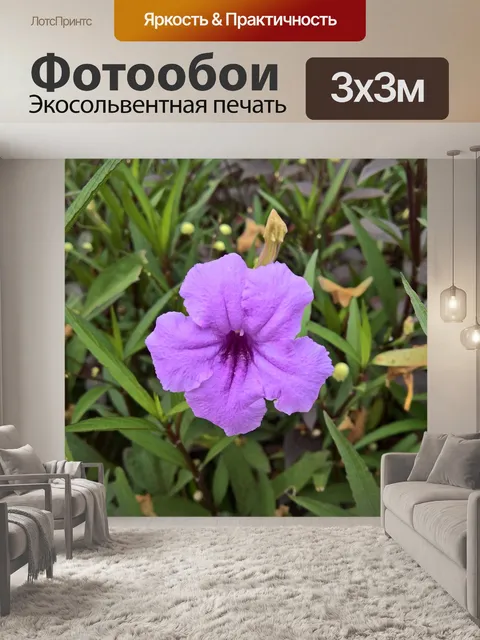 Фотообои Цветы