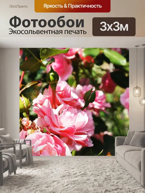 Фотообои Розы