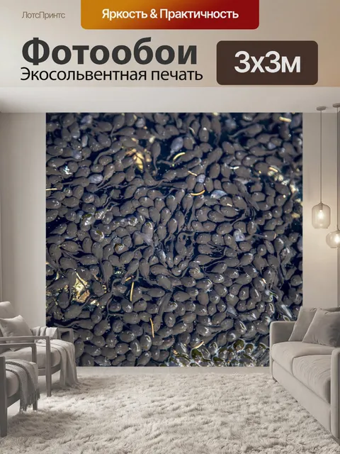 Фотообои Лягушки-головастики в пруду