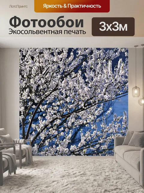Фотообои Блоссом