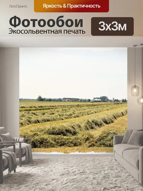 Фотообои Голландский пейзаж