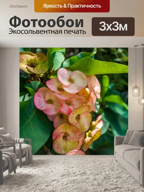 Фотообои Цветы
