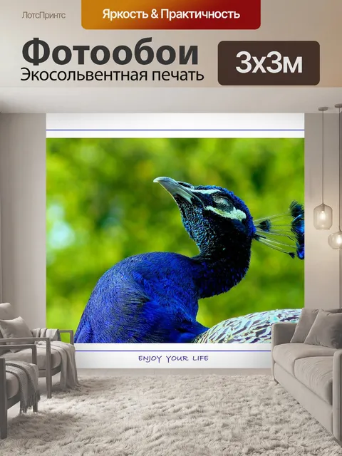 Фотообои Птица