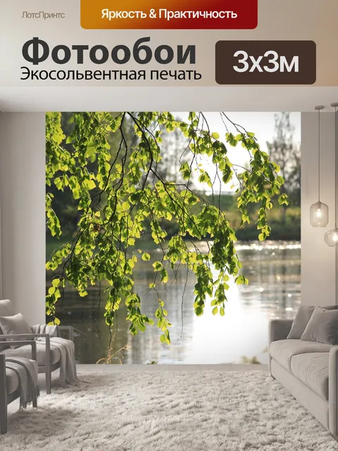 Фотообои Береза