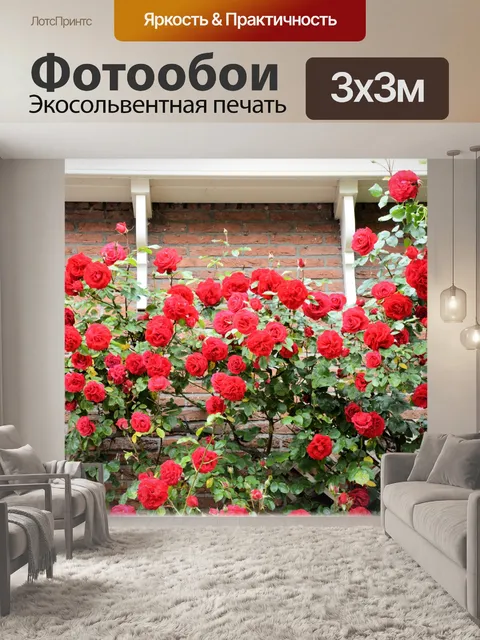 Фотообои Красные розы 2