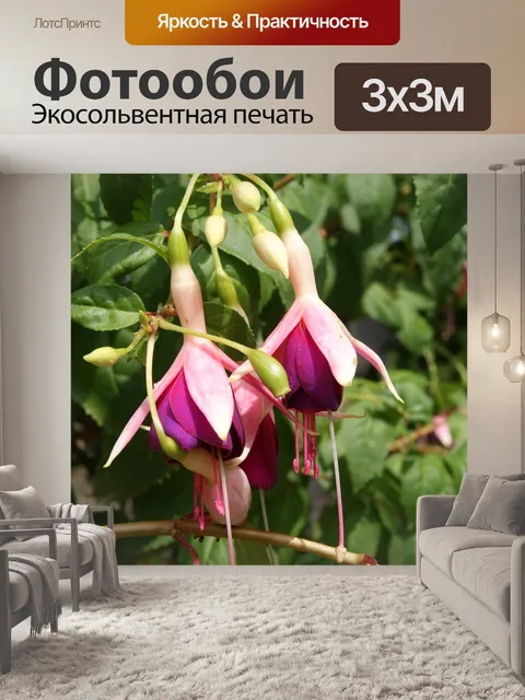 Фотообои Фуксия