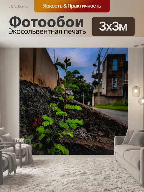Фотообои Листья