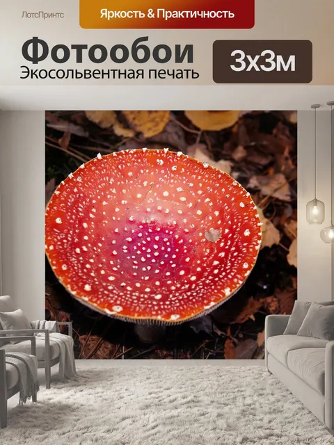 Фотообои Гриб