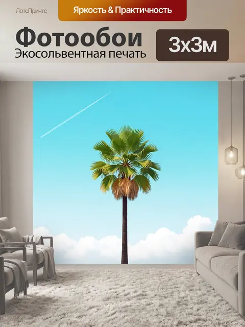 Фотообои Тропическая пальма в небе