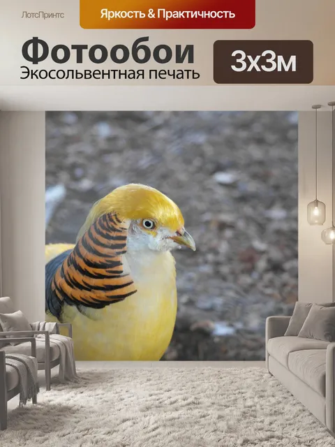 Фотообои Птицы
