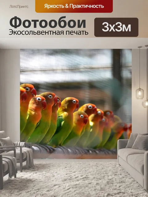 Фотообои Птица