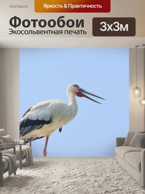 Фотообои Аист