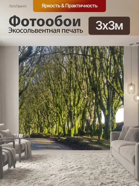 Фотообои Деревья