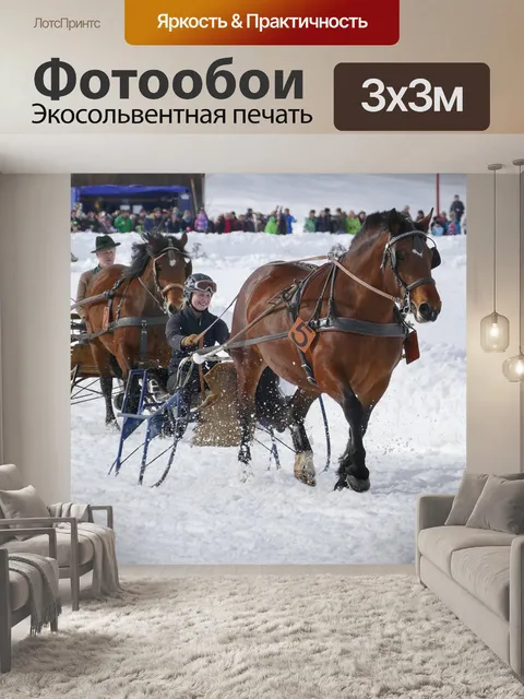 Фотообои Лошадь