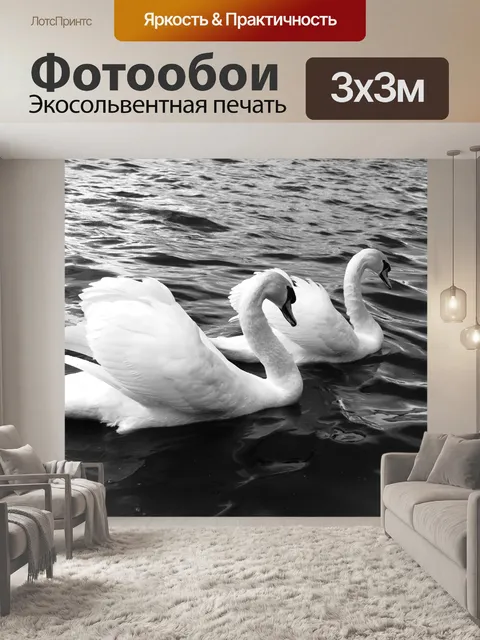 Фотообои Лебеди