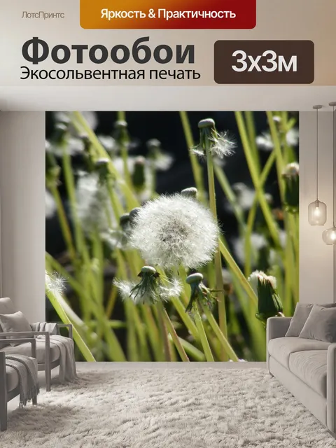 Фотообои Одуванчики