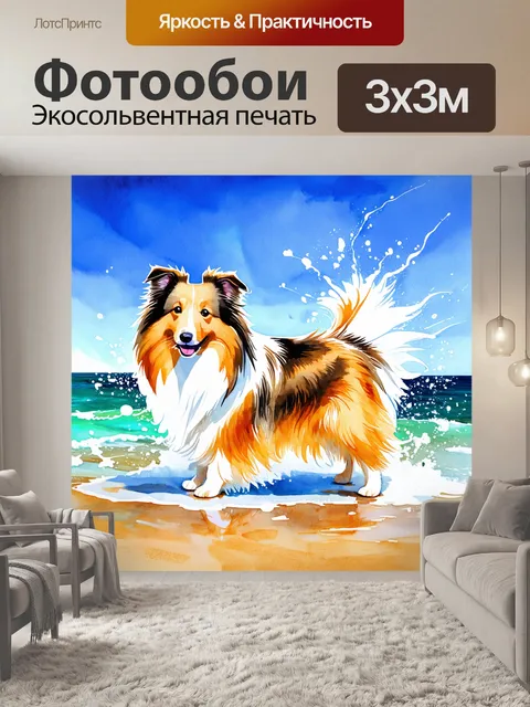Фотообои шелти, исследующая берег моря под ясным голубым небом, испачканная морской пеной
