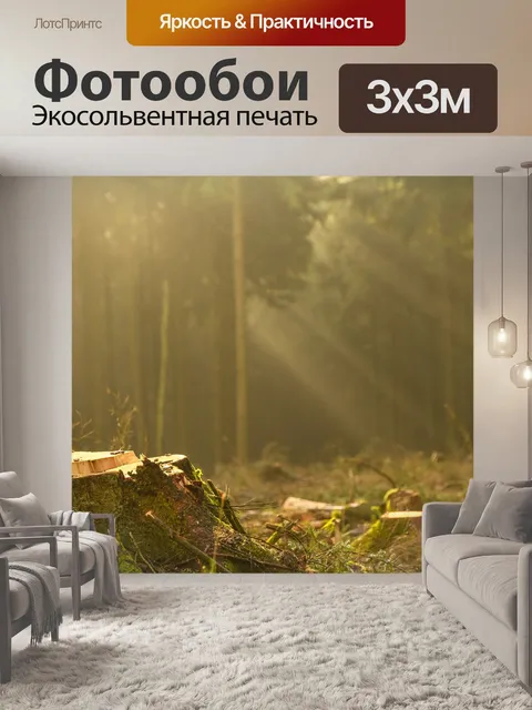 Фотообои Лес