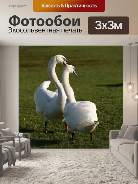 Фотообои Лебеди