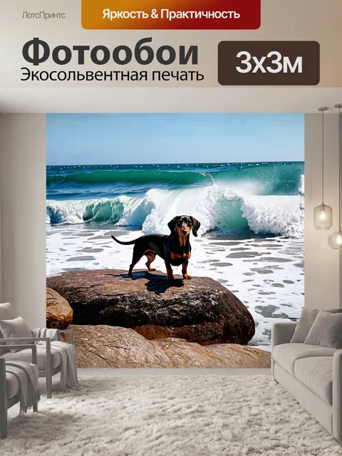 Фотообои такса, стоящая на скале у океанского берега, взгляд устремлен на бурные волны
