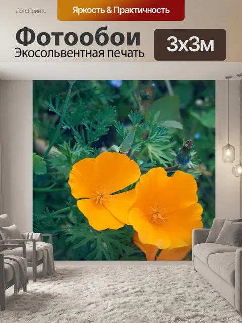 Фотообои Два цветка мака
