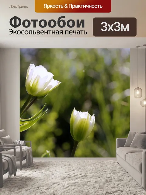 Фотообои Цветы