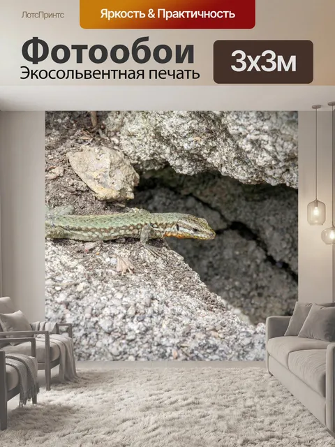 Фотообои Природа