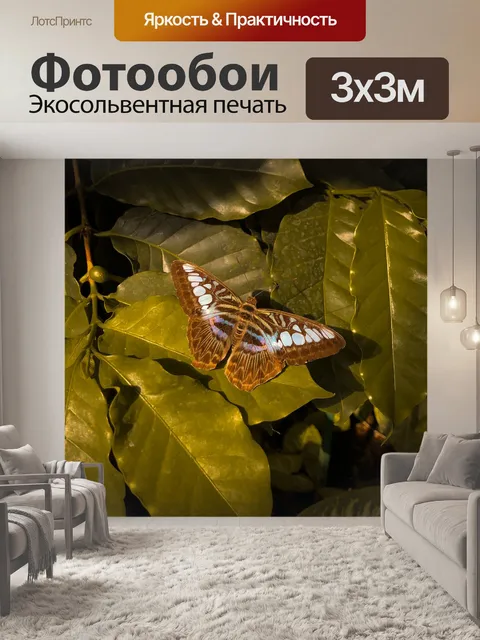 Фотообои Бабочка