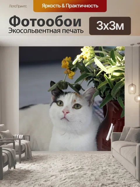 Фотообои Кошка