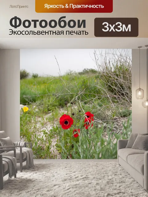 Фотообои Маки
