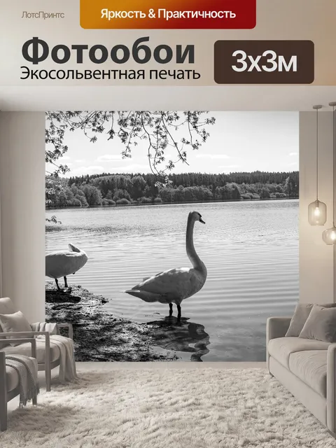 Фотообои Лебеди