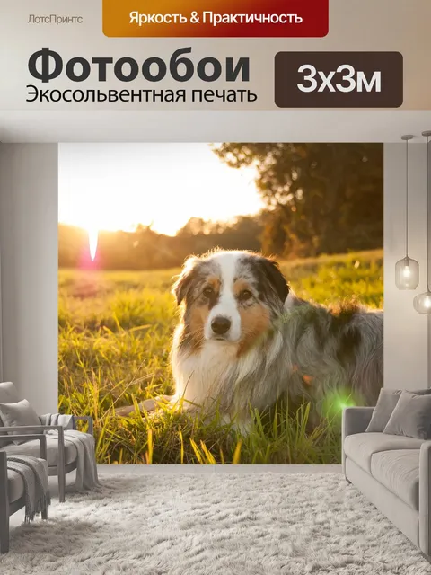 Фотообои Солнце