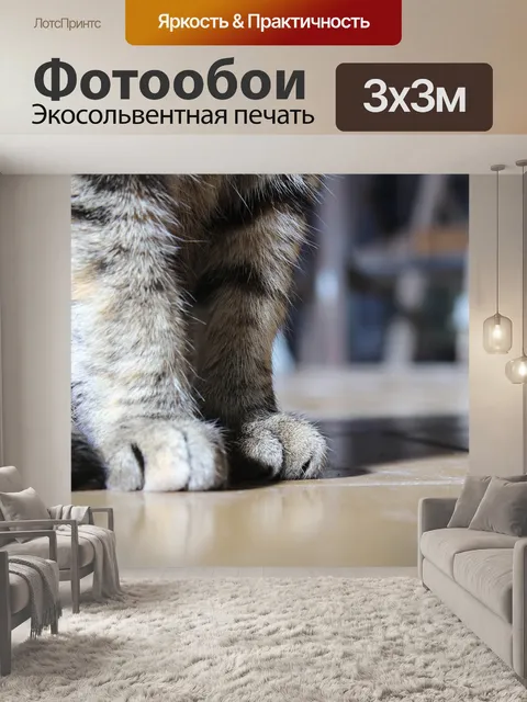 Фотообои Скрудж