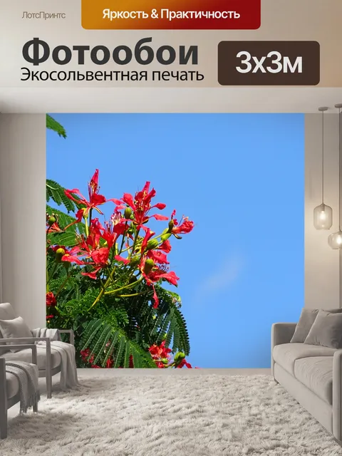 Фотообои В саду на Мадейре