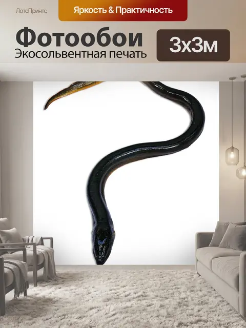 Фотообои Угорь