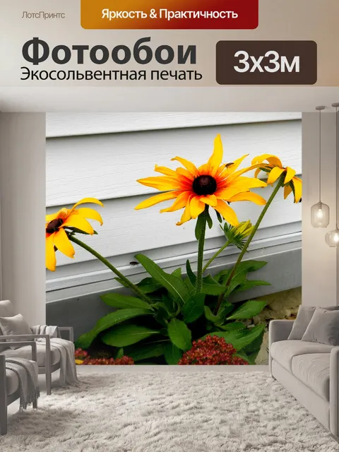 Фотообои Когда осенью оседает № 2