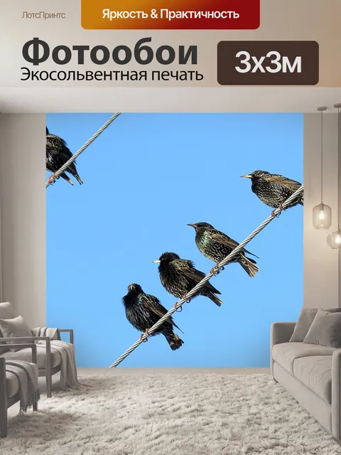 Фотообои Птицы