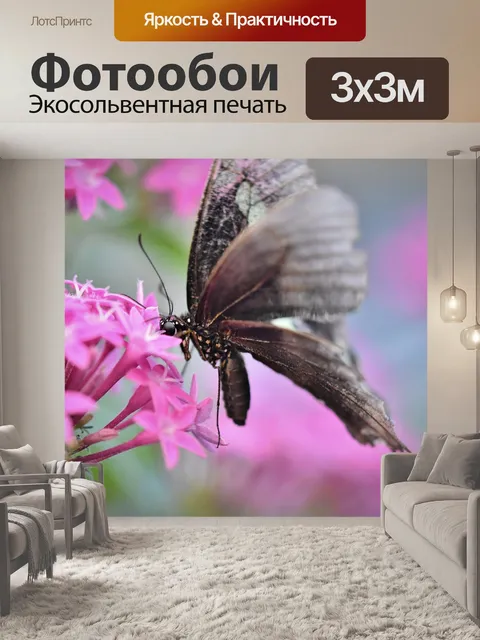 Фотообои Бабочка
