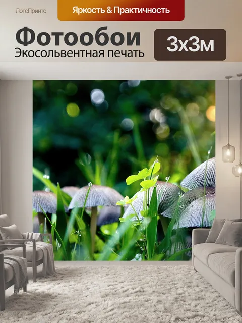 Фотообои Гриб