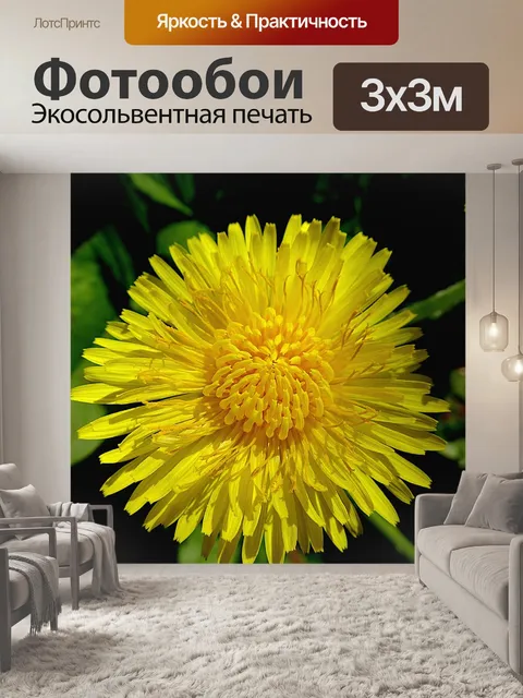 Фотообои Одуванчики
