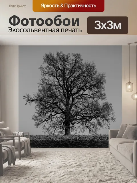 Фотообои Зима