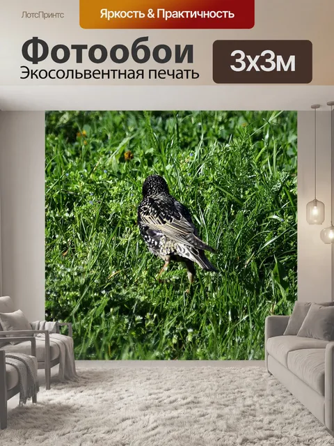 Фотообои Птица