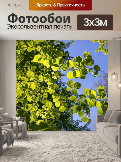 Фотообои Листья
